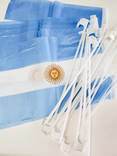 Bandera Argentina para el auto, 30x40cm