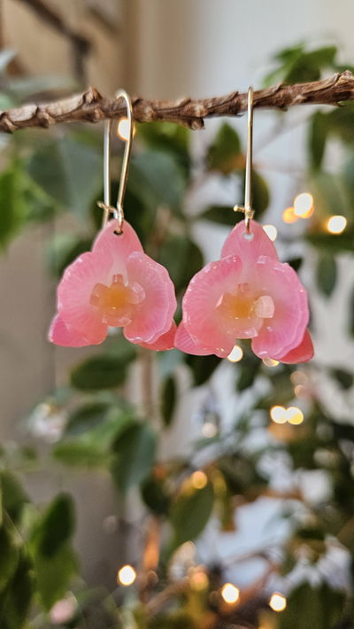 ORQUÍDEAS ROSAS (LEER DESCRIPCIÓN DEL PRODUCTO)