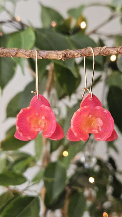 ORQUÍDEAS FUCCIAS (LEER DESCRIPCIÓN DEL PRODUCTO)