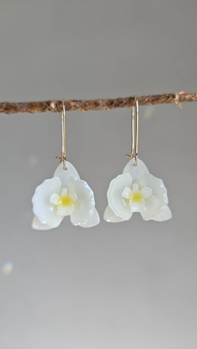 ORQUÍDEAS BLANCAS 