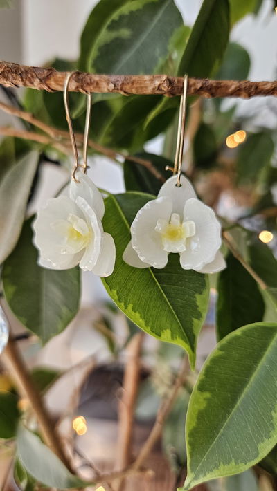 ORQUÍDEAS BLANCAS 