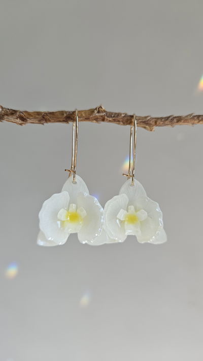 ORQUÍDEAS BLANCAS (LEER DESCRIPCIÓN DEL PRODUCTO)