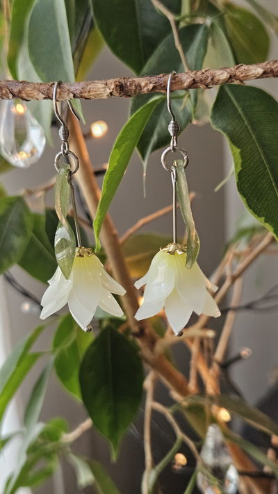 CAMPANITAS DEL BOSQUE BLANCAS