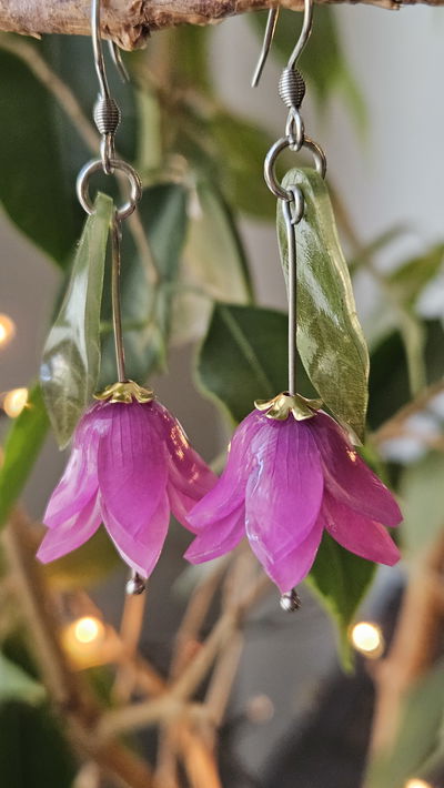 CAMPANITAS DEL BOSQUE VIOLETAS