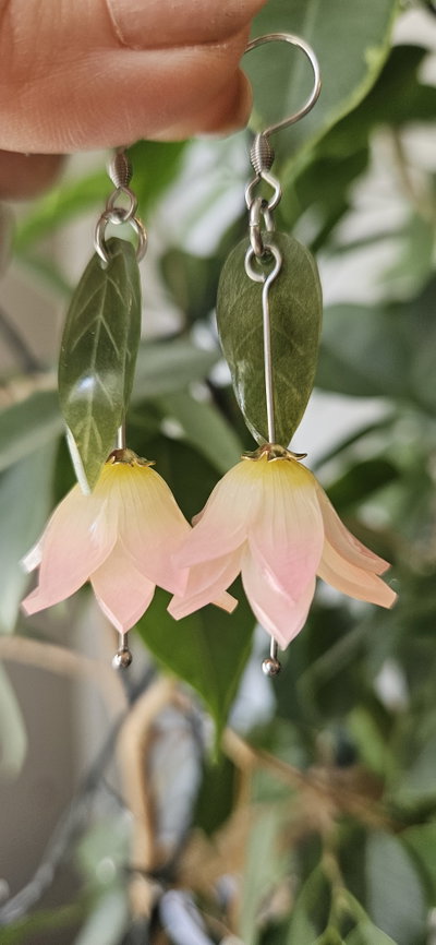 CAMPANITAS DEL BOSQUE ROSAS