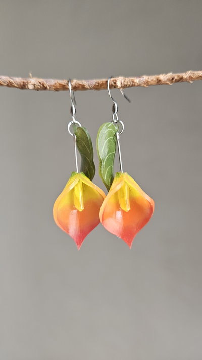 CALAS NARANJAS