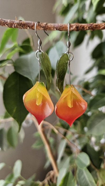 CALAS NARANJAS