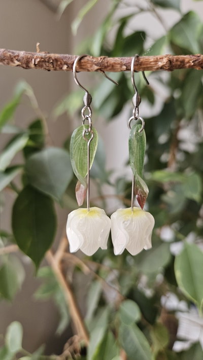 TULIPANES BLANCOS