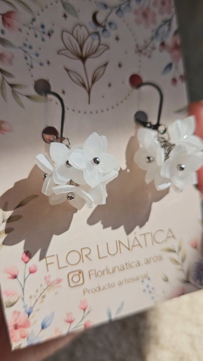 HORTENSIAS BLANCAS
