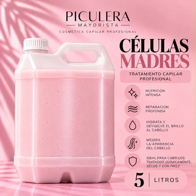 Células Madre 💓