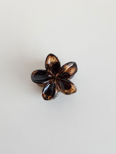 MINI BROCHE CAREY