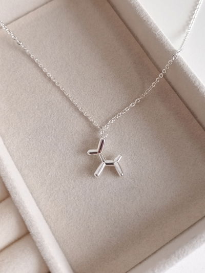 CONJUNTO PERRITO