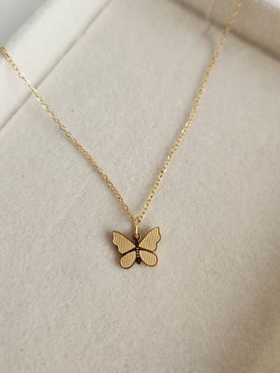 CONJUNTO MARIPOSA CHATT