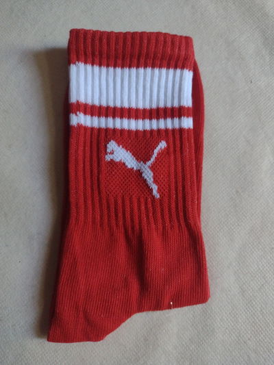 Puma Rojo