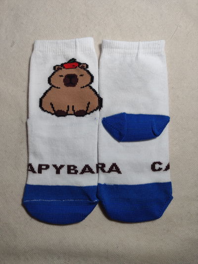 Capybara Manzana Niños 