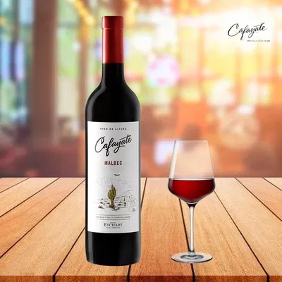 CAFAYATE MALBEC 6X750