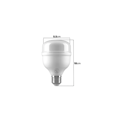 LED HIGH POWER 20W FRIA (B/100)