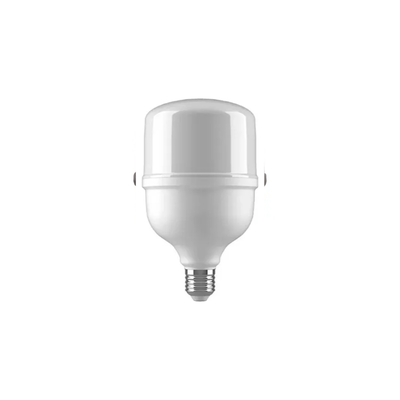 LED HIGH POWER 40W FRIA (B/60)
