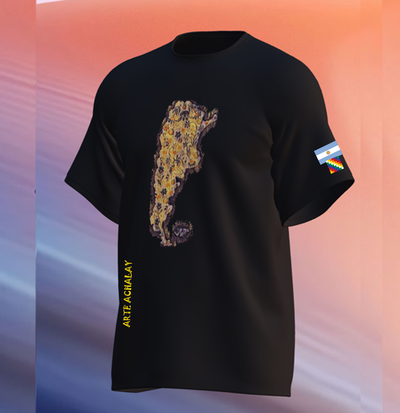 Remera Argentina 2