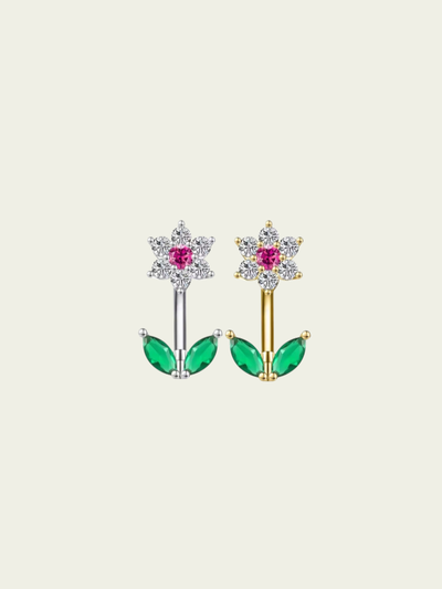 Barbell curvo Spring