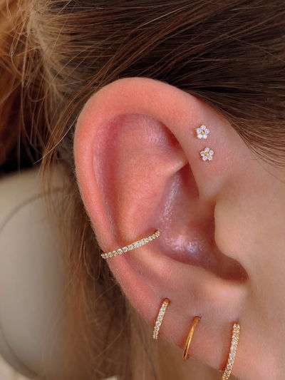 Clicker Aurora Blanca Dorada