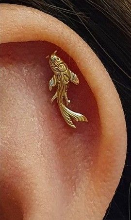 Labret Koi titanio Dorado