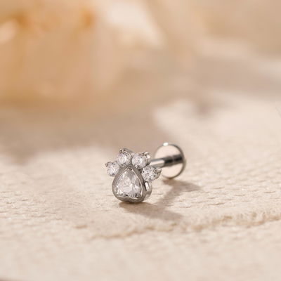 Labret Paw Titanio