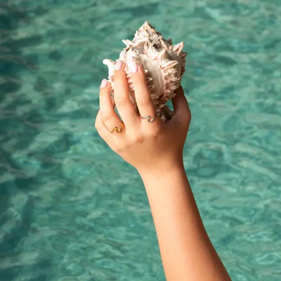 Anillo Marea