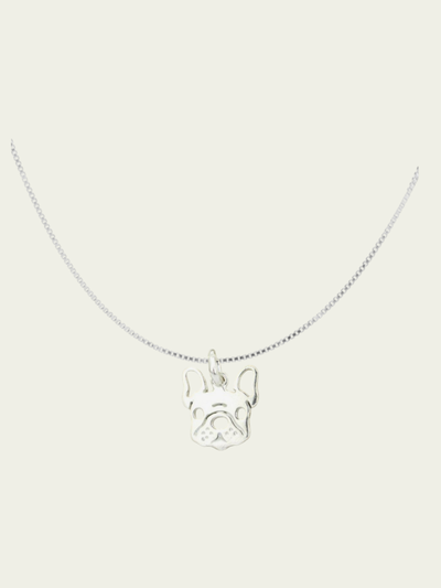 Collar Bulldog