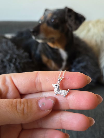 Collar Perro Salchi