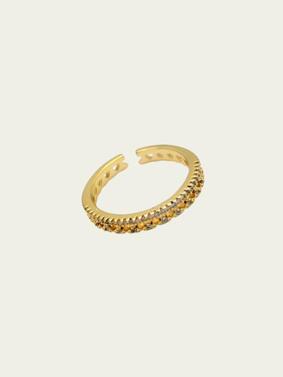 Anillo Arica