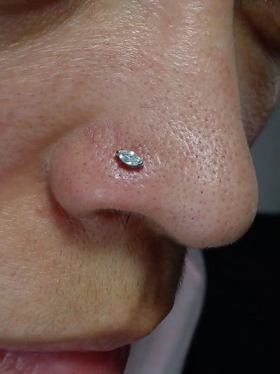 Nostril Reneé Titanio