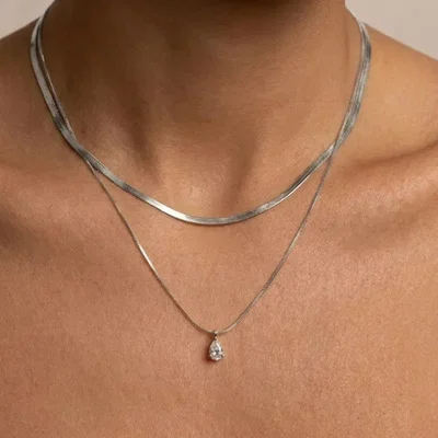 Collar Payton