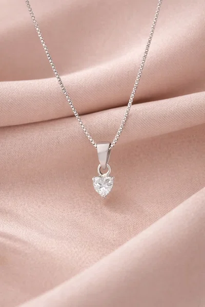 Collar Lover