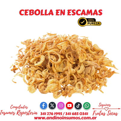 CEBOLLA EN ESCAMAS KG