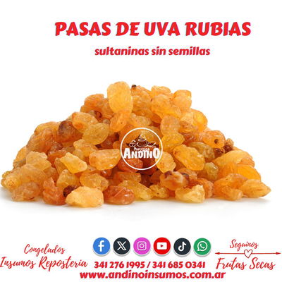 PASAS DE UVA RUBIAS SIN SEMILLAS KG