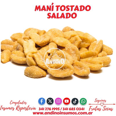 MANÍ TOSTADO CON SAL 500 GRS