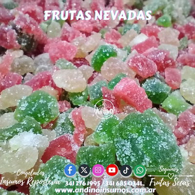 FRUTAS NEVADAS 5 KG