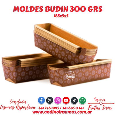 MOLDE BUDÍN 300 GRS X 10 UN