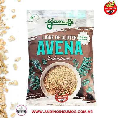 AVENA INSTANTÁNEA SIN GLUTEN 300 GRS
