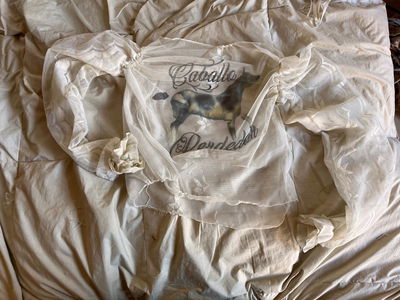 remera caballo perdedor 