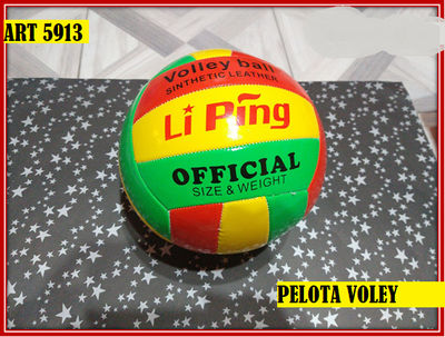ART 5913 PELOTA VOLEY