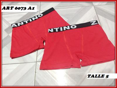 ART 6073 BOXER TALLE 5