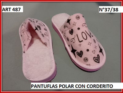 ART 487 PANTUFLA 37/38