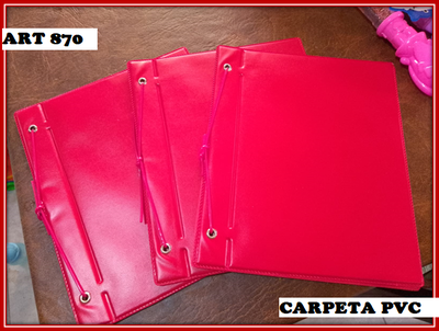 ART 870 CARPETA N°3