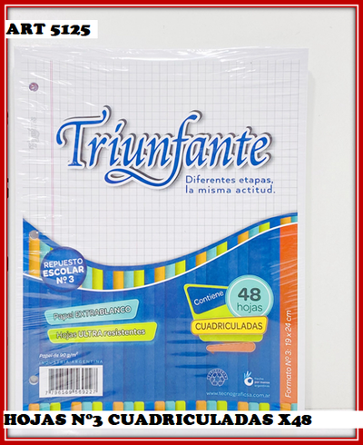 ART 5125 HOJAS N°3 TRIUNFANTE CUADRICULADAS X48