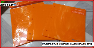 ART 6947 CARPETA N°3