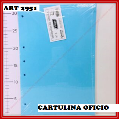 ART 2951 CARATULAS OFICIO