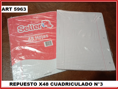 ART 5963 HOJAS CUADRICULADAS X48 N°3