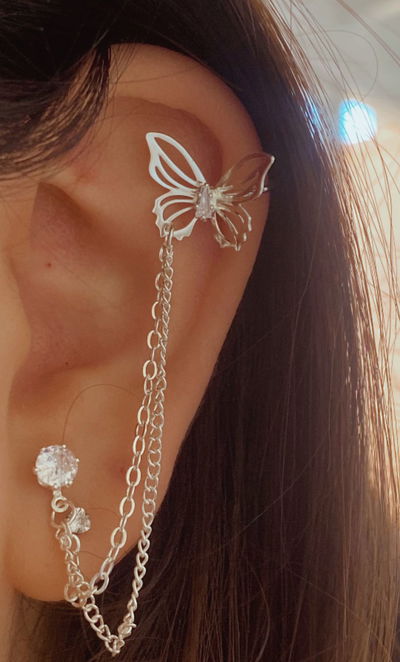 Aro bidu mariposa 